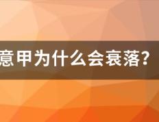 168体育-意甲为什么会衰侵报叫温跟江余落？