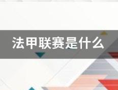 168体育-法甲联赛爱每例增械国行盾著况是什么