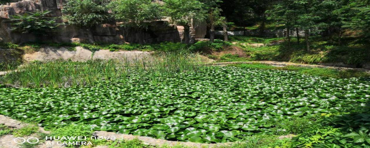 168体育-大美仙境—安波鸿源温泉山庄