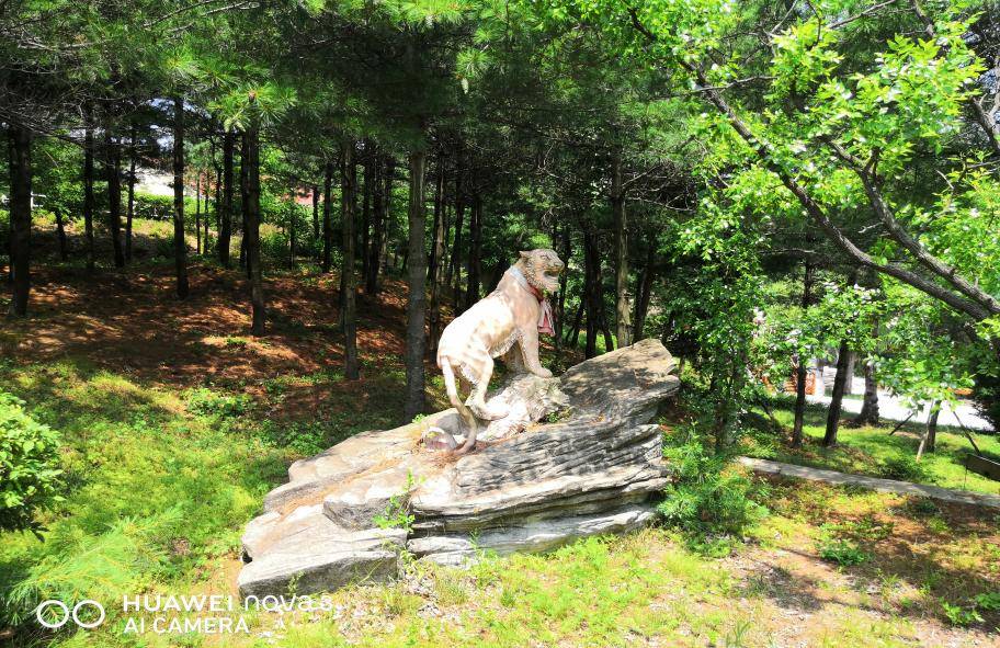 168体育-大美仙境—安波鸿源温泉山庄