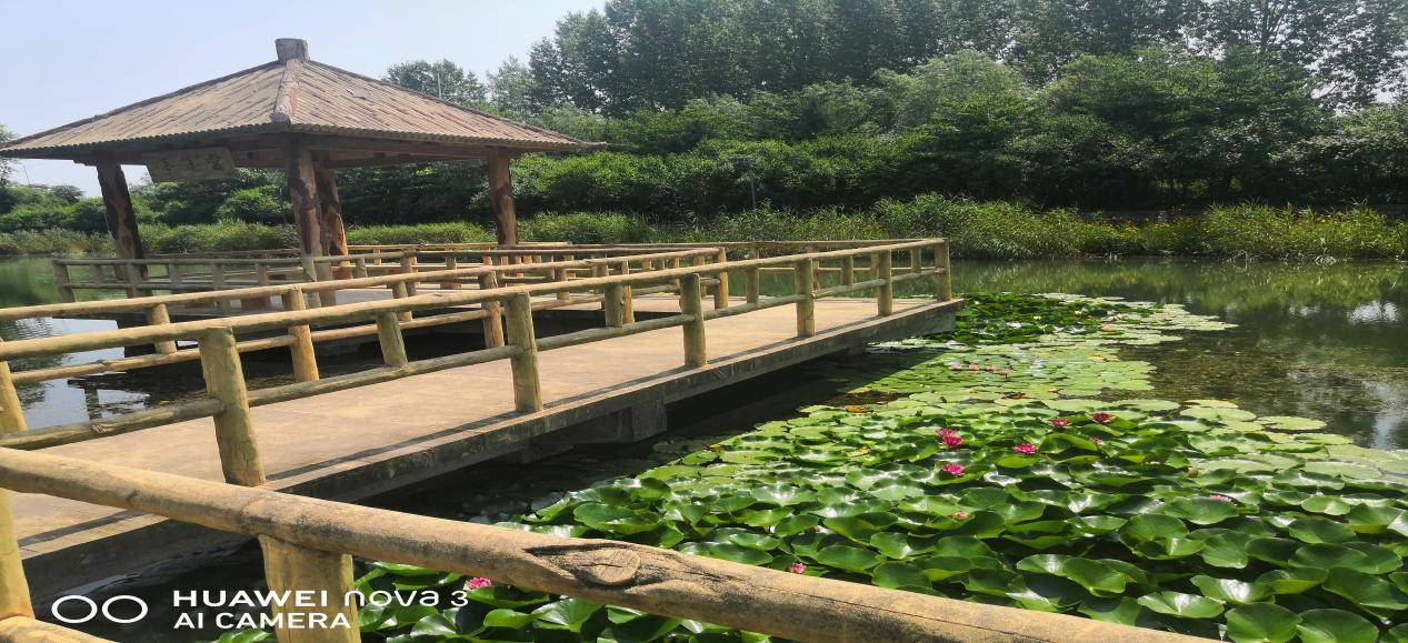 168体育-大美仙境—安波鸿源温泉山庄